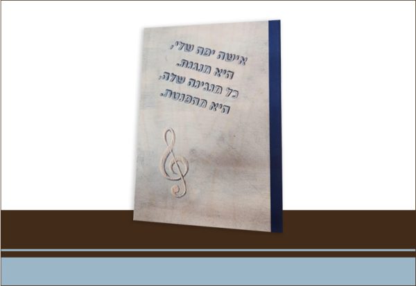 קלסר ממותג